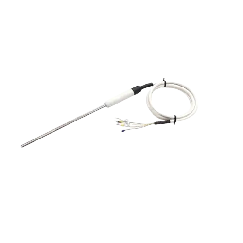 Autoclave RTD Sensor_Temperature_Nuicon