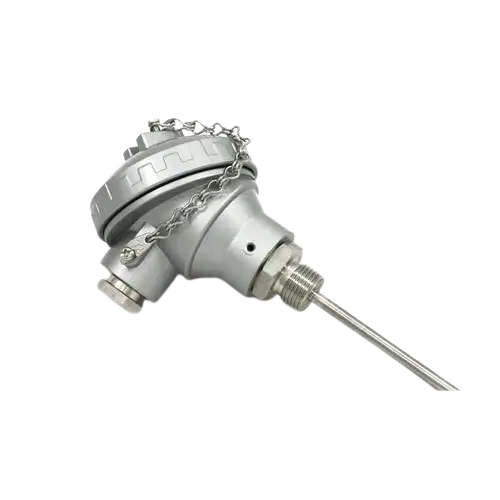 Head Type RTD Sensor_Nuicon